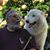 Steve McCollom's profile image