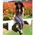 LuLu Misal's profile image