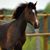 Shelley Contin-Hubbs's profile image