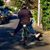 Lisa Lipscomb-Robinson's profile image