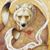 Bobbi Hayden's profile image