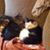 Jo Ann Garbarini's profile image