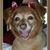 Jeanine Mumford's profile image