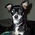 Marjory Jean Roth's profile image