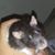 Tanya M. Johnson's profile image