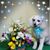 Kim Siever's profile image