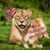 Darshel Lanette's profile image