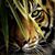 Kitty Page's profile image