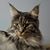 Jeff Lobdell's profile image