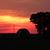 Sherri Leedy Wells's profile image