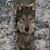 Cheryl Borowski's profile image