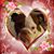 Rottie Whisper's profile image