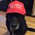 Steve Hrbek's profile image