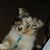 Debra Carey's profile image