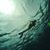 Jenny Himes Dorsey's profile image
