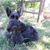 Moira Theriault's profile image