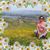 Carolina Delos Reyes's profile image