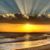 Sandy Coulter's profile image