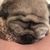 Karen Ringwood's profile image