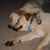 Joyce Hartz's profile image