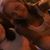 Lucy Mitchell's profile image