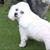Paula Adams's profile image