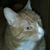 Cheryl Spillers's profile image