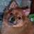 Diane Works's profile image