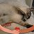 Maria Cunha's profile image