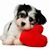Nena Price's profile image