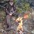 Kevin Campbell's profile image