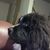 D Eric McMaster's profile image