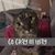 Kathy Coyle Alvelo's profile image