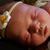 Nicole Ambrosini's profile image