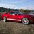Bill N Shelley's profile image