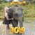 Peggie Turton's profile image