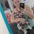 Makayla Roper's profile image