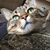 Brenda Borst's profile image