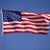 Tony Ladell's profile image