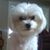 Susan Lovell's profile image