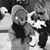 Vikki Elsberry's profile image