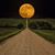 Lisa Renee Dean Myrick's profile image