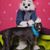 Deb Stombaugh's profile image
