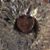 Terry Galioto-Caskey's profile image