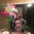 Renae L Rice's profile image