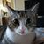 Connie DeCinko's profile image