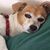 Fuzzmo Zions's profile image