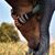 Kristi Backhaus Buff's profile image