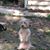 Jennifer Nutter's profile image