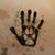 Joe Gilles's profile image